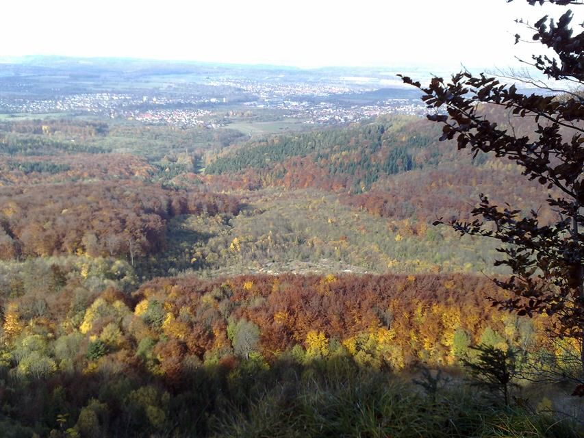 Erdrutsch-06.jpg
