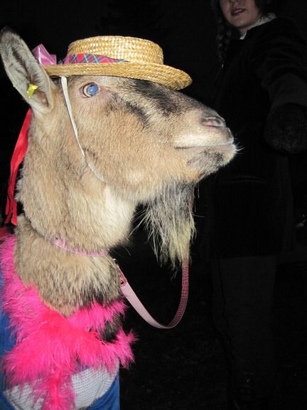 Fasnet-12-37.jpg