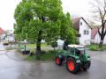 Maibaum-11-08.jpg