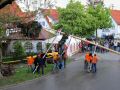 Maibaum-11-18.jpg