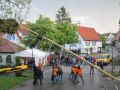 Maibaum-11-19.jpg