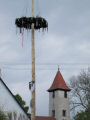 Maibaum-11-27.jpg