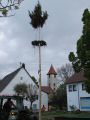 Maibaum-11-28.jpg