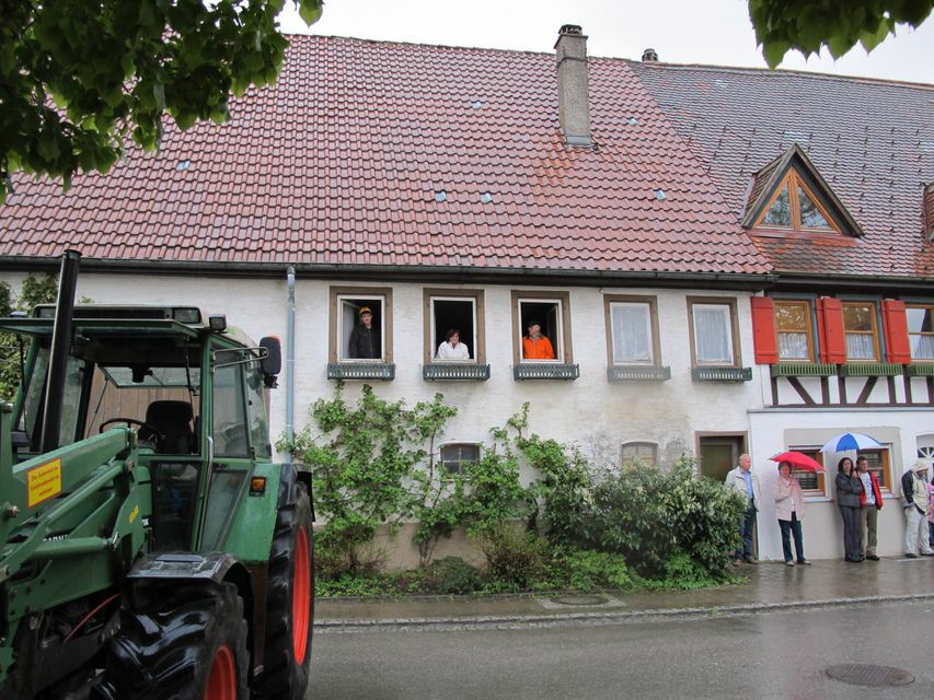 Maibaum-11-07.jpg