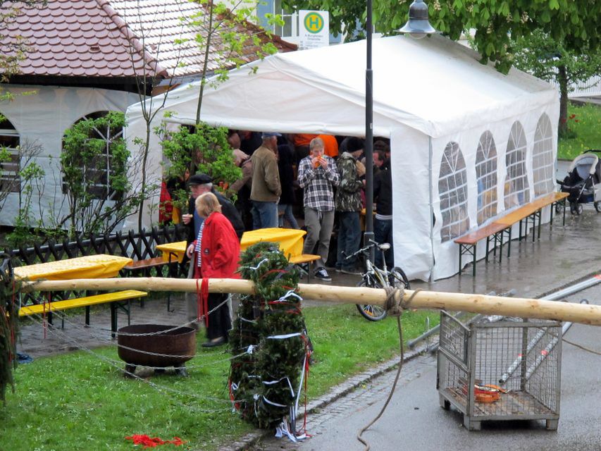 Maibaum-11-09.jpg