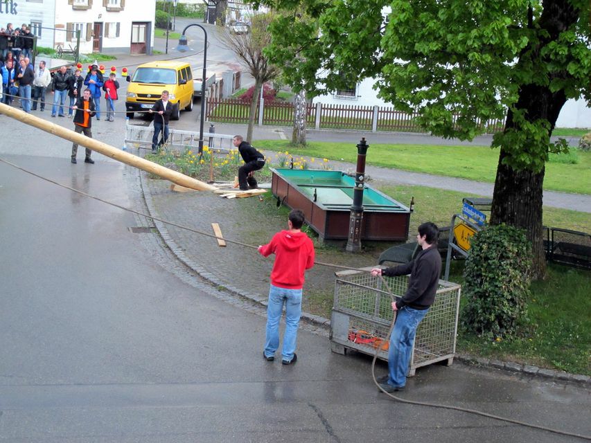 Maibaum-11-17.jpg