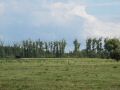 Neust-11-089.jpg