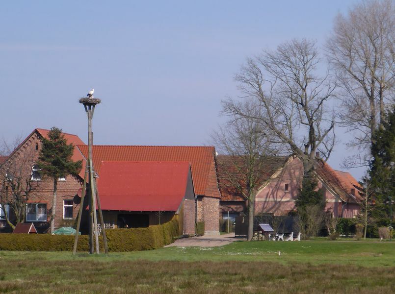 214-Neustadt-2016.jpg