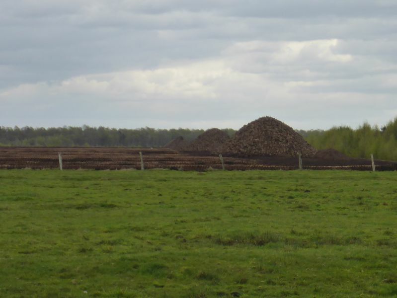 169-Neustadt-2017.jpg