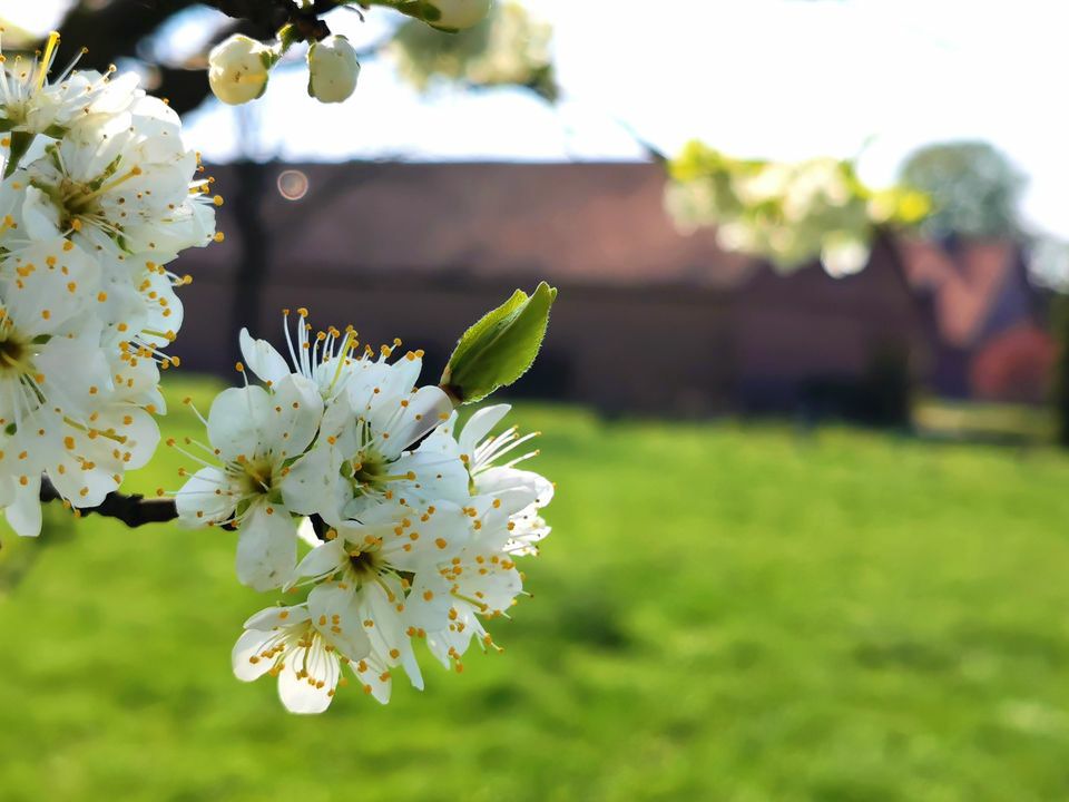 135-Neustadt-2019-04.jpg