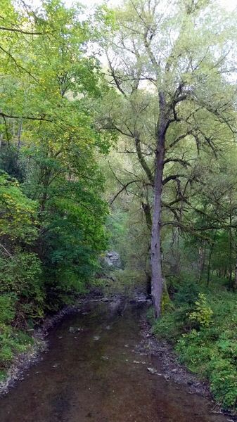 05-20161016_120927.jpg