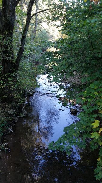 06-20161016_120936.jpg