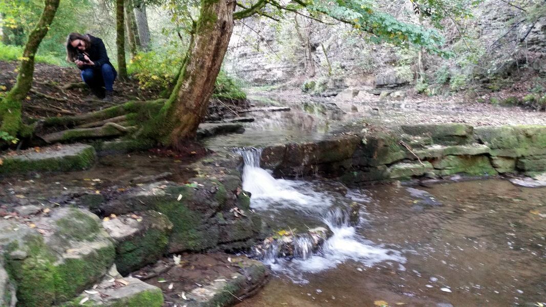11-20161016_122936.jpg