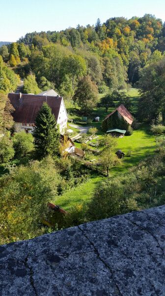 29-20161016_131457.jpg