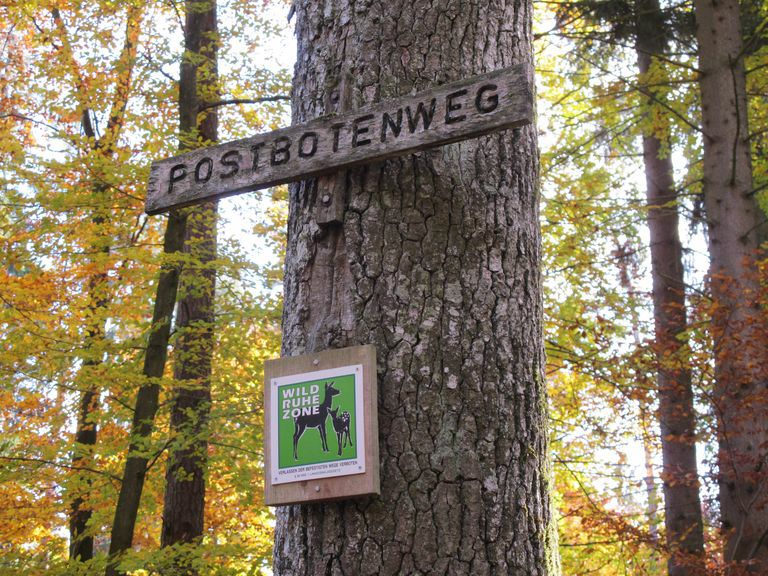 Schoenbuch11-070.jpg