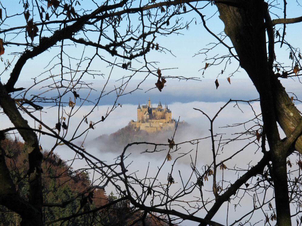 Hohenzollern-2011-11-15-fc-6.jpg