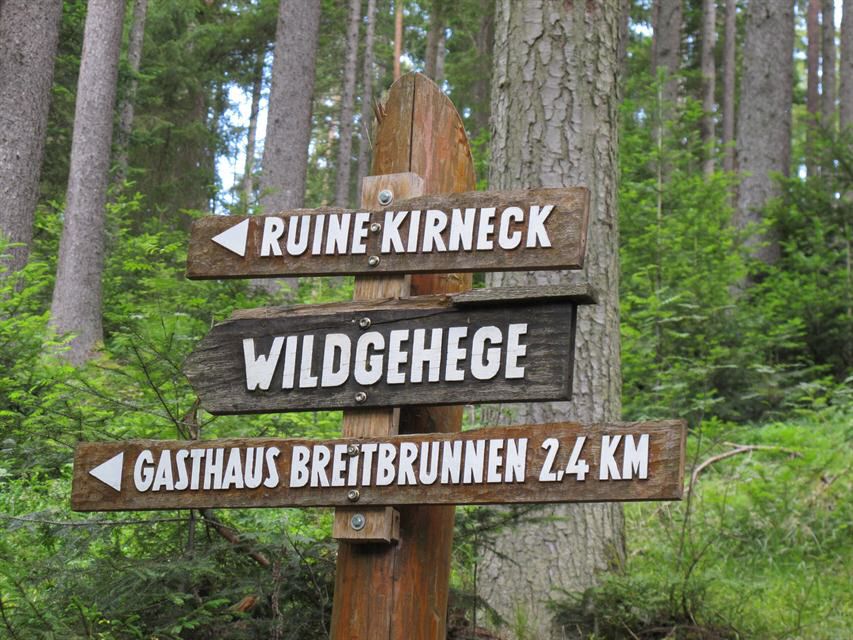 Schwarzwald-04.jpg
