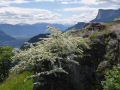 058-Suedtirol-2016.jpg