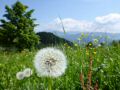 078-Suedtirol-2016.jpg