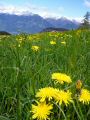 147-Suedtirol-2016.jpg