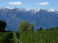 165-Suedtirol-2016.jpg