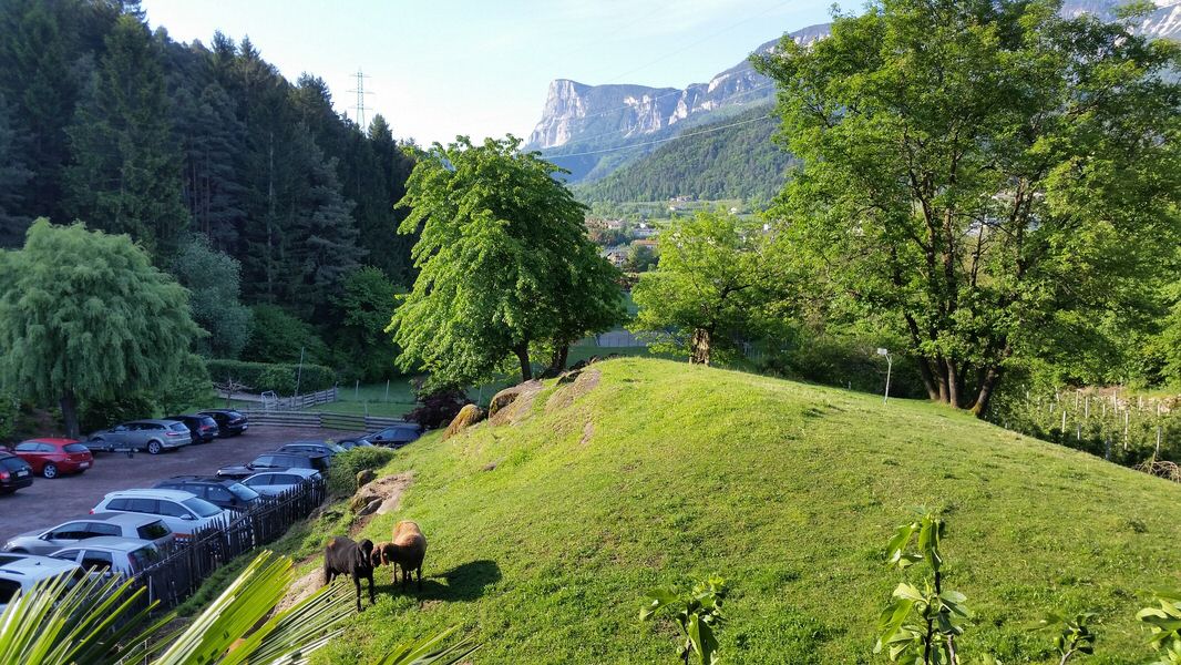013-Suedtirol-2016.jpg