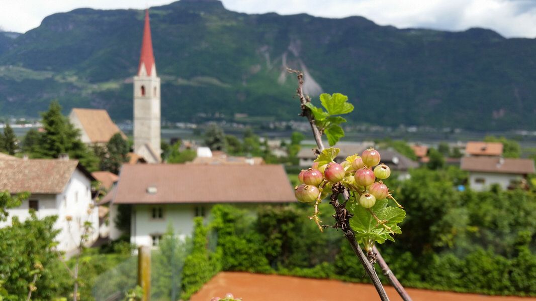 039-Suedtirol-2016.jpg