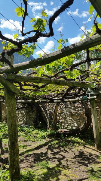 071-Suedtirol-2016.jpg
