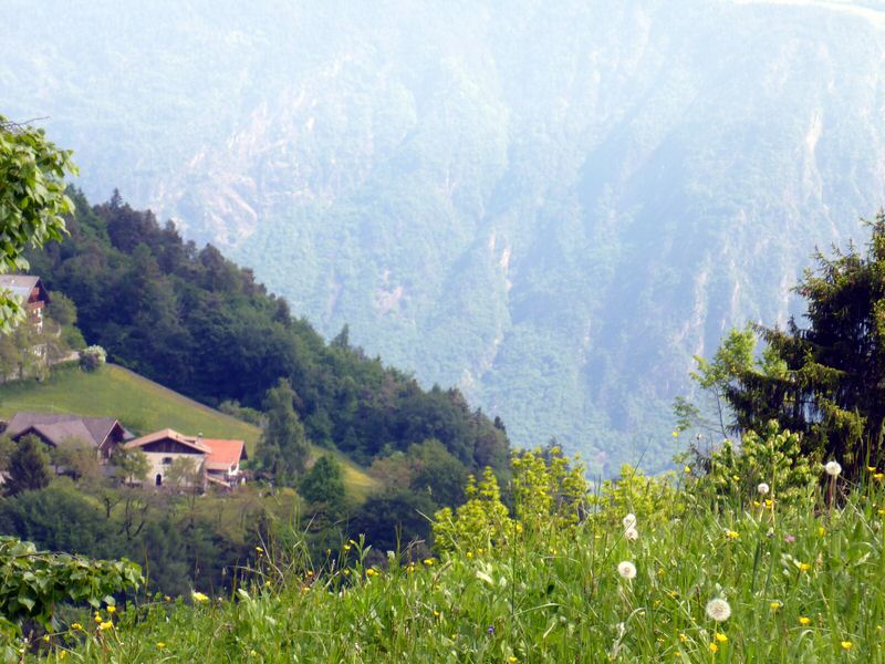 077-Suedtirol-2016.jpg