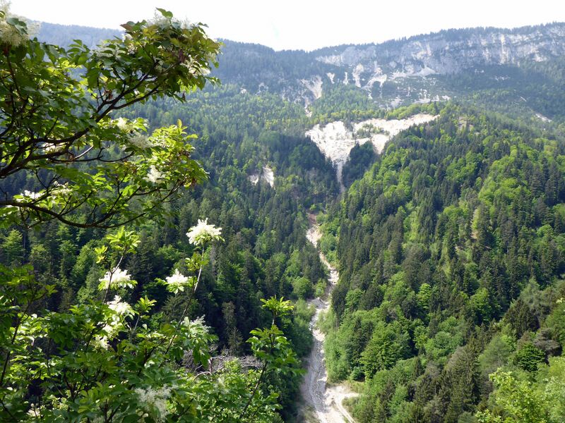 080-Suedtirol-2016.jpg