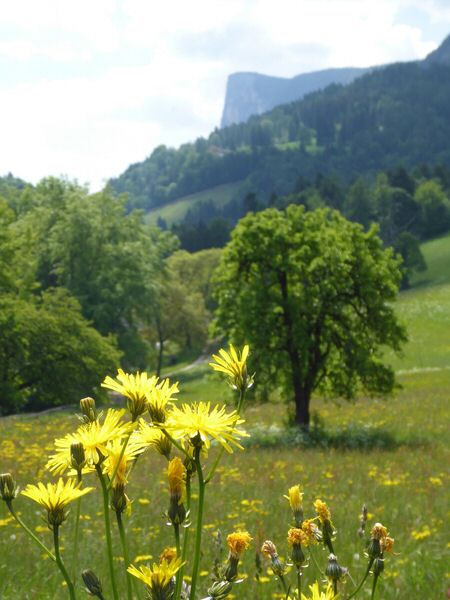 088-Suedtirol-2016.jpg