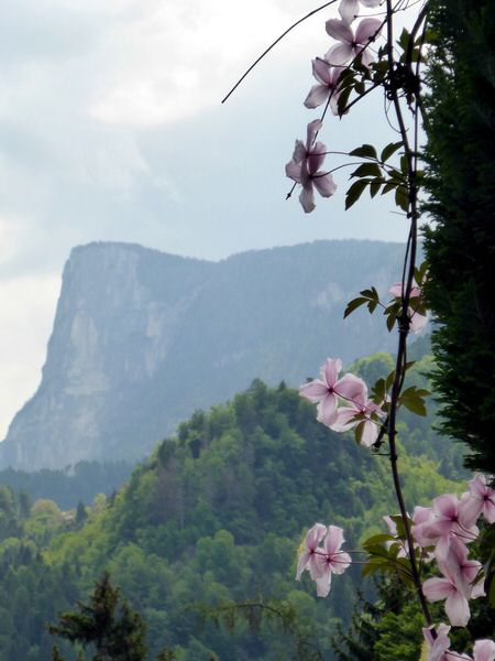 096-Suedtirol-2016.jpg