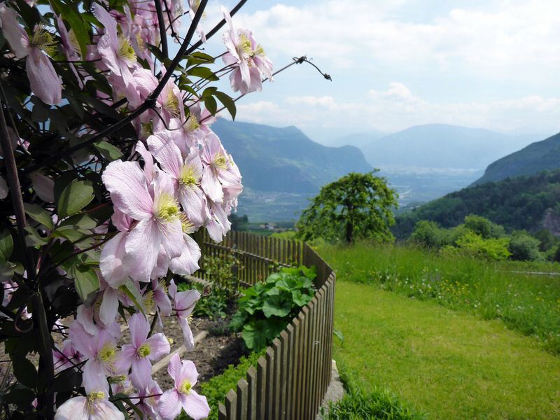 097-Suedtirol-2016.jpg