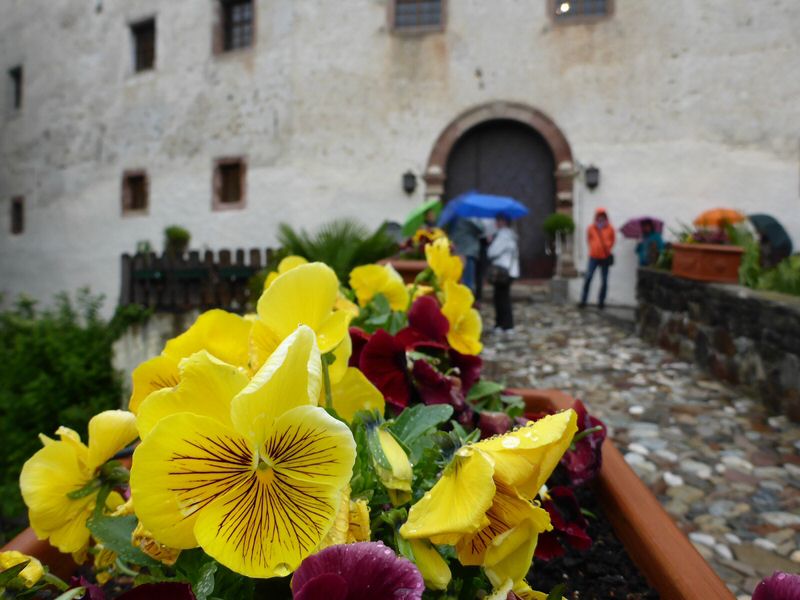103-Suedtirol-2016.jpg