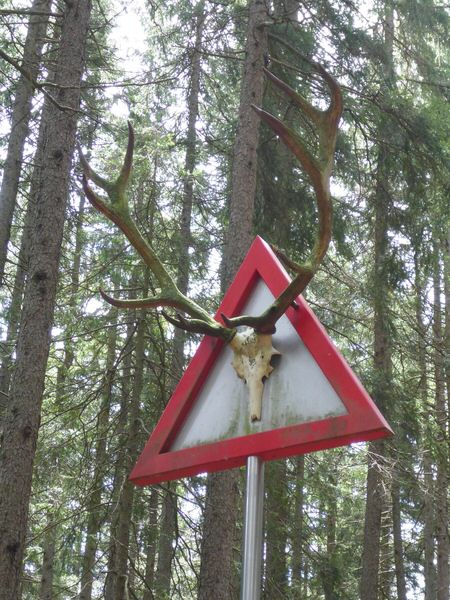 146-Suedtirol-2016.jpg