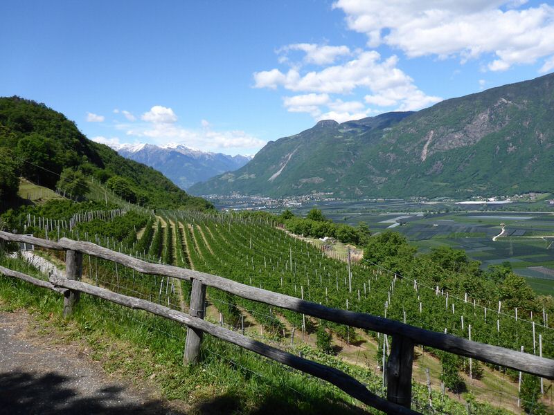 153-Suedtirol-2016.jpg