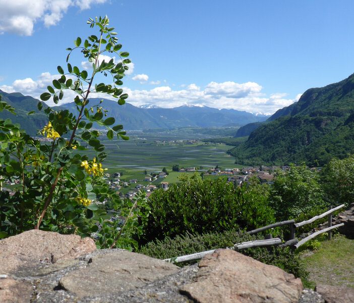 156-Suedtirol-2016.jpg