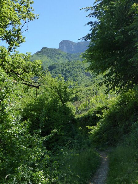 161-Suedtirol-2016.jpg
