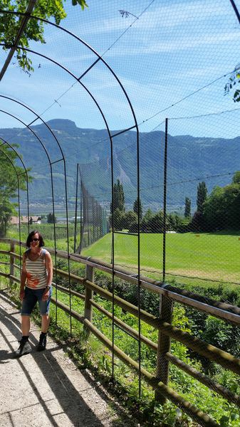 195-Suedtirol-2017.jpg