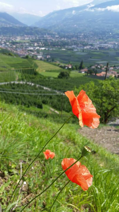 062-Suedtirol-2018.jpg