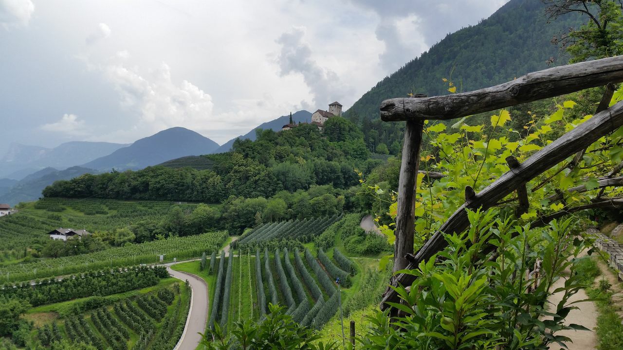 196-Suedtirol-2018.jpg