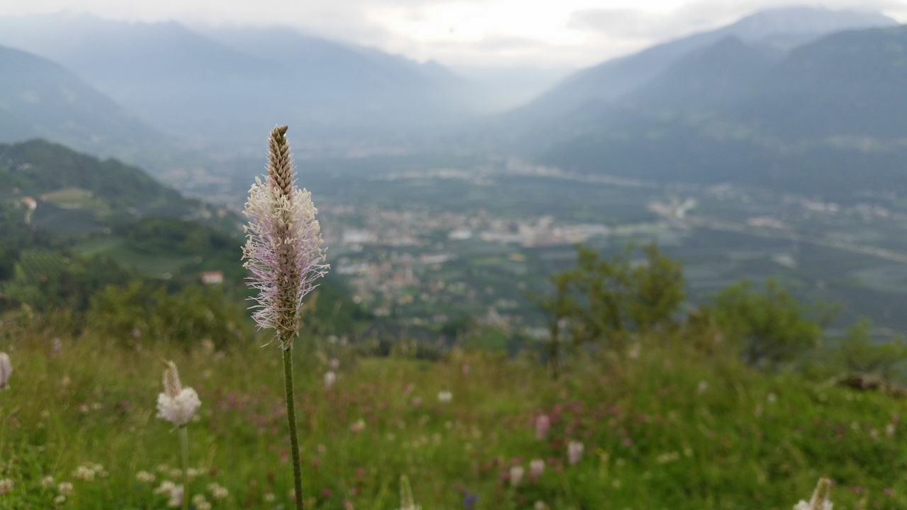 208-Suedtirol-2018.jpg