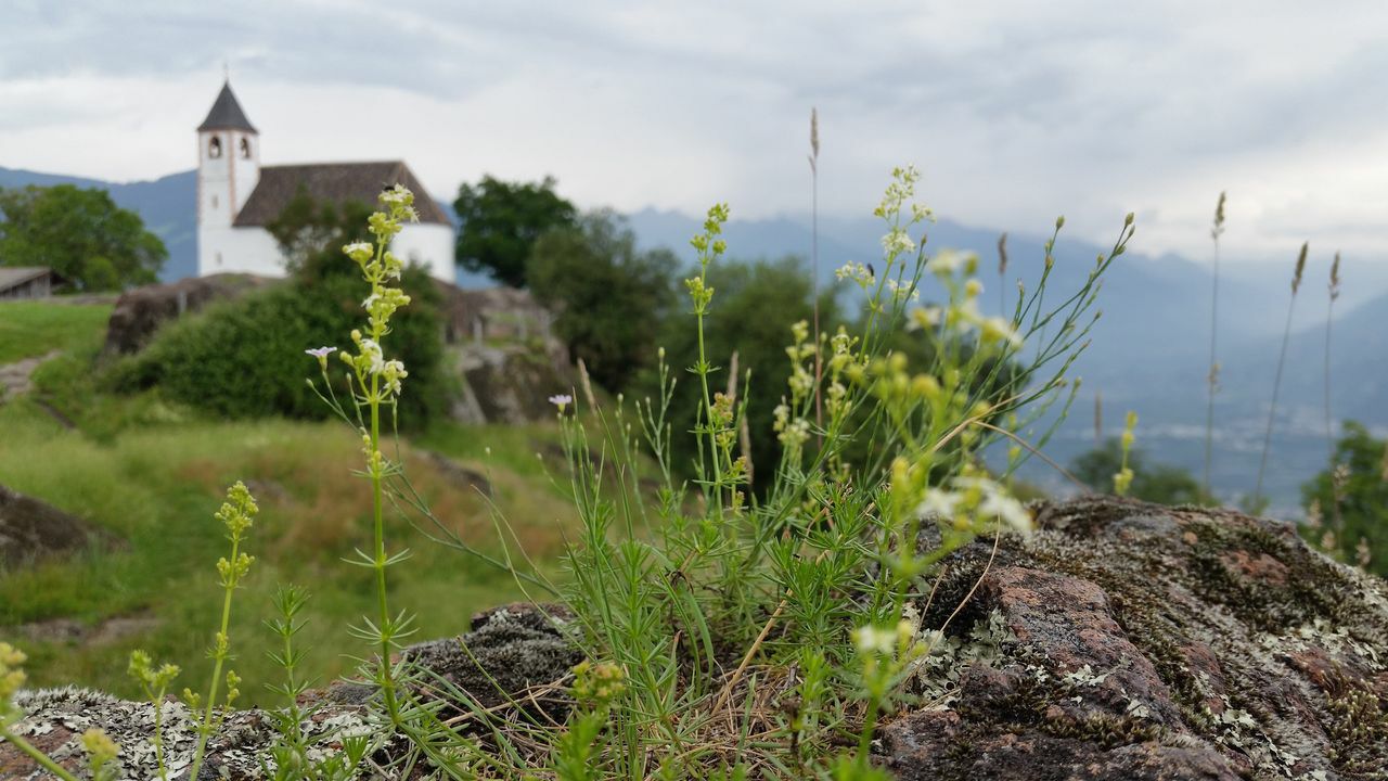 212-Suedtirol-2018.jpg