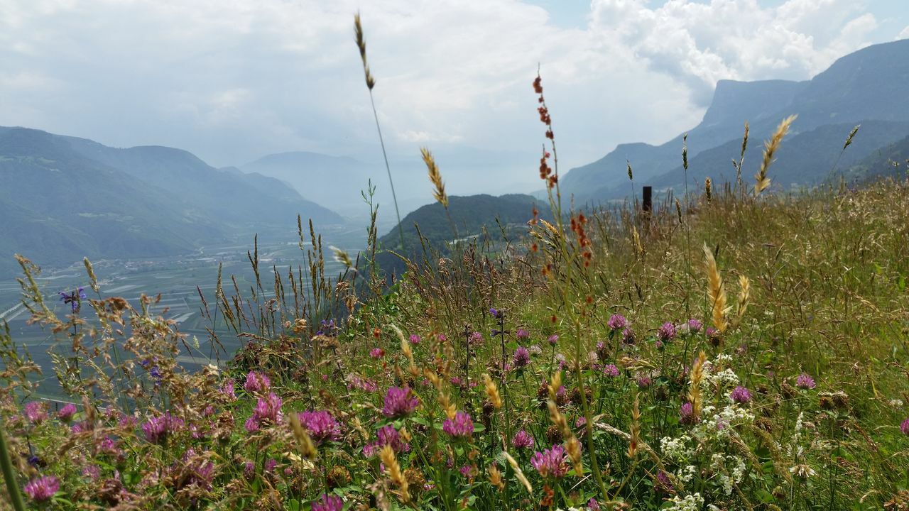 225-Suedtirol-2018.jpg