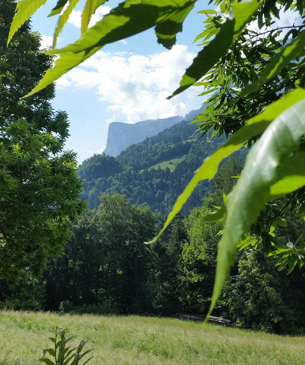 288-Suedtirol-2018.jpg