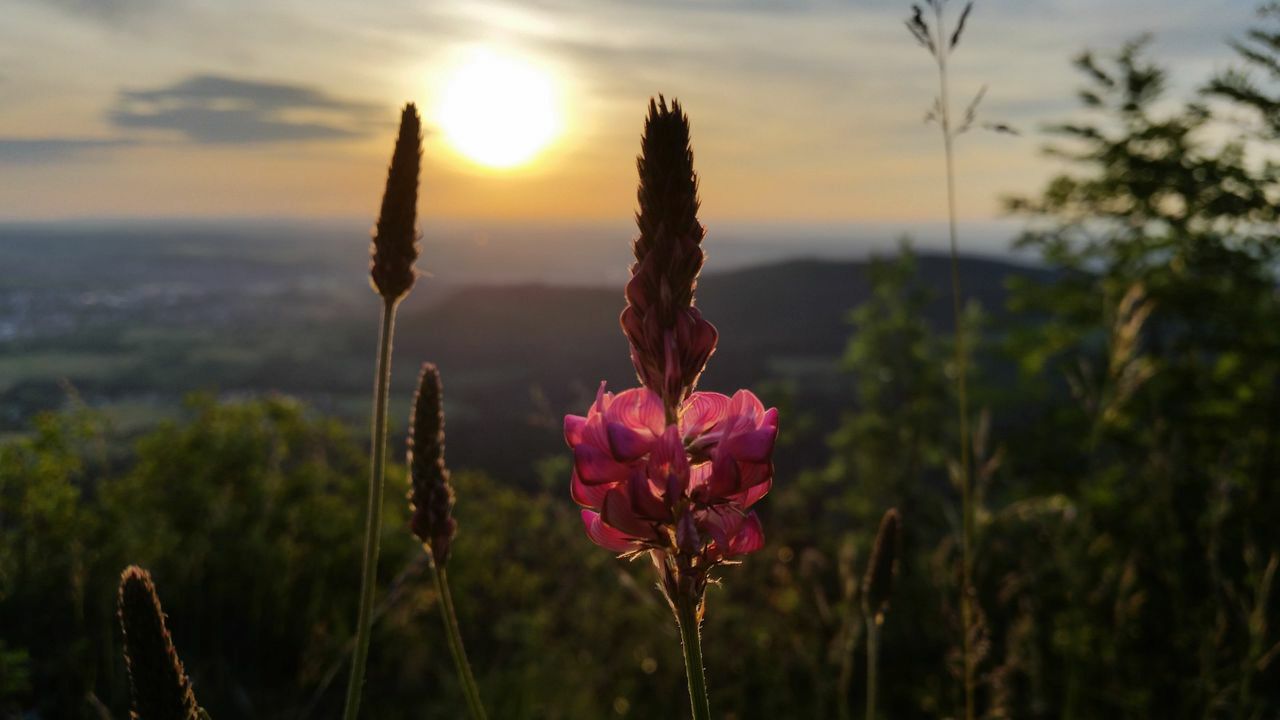 323-Suedtirol-2018.jpg