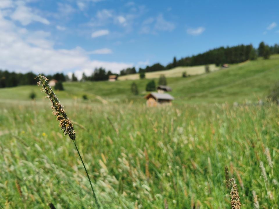 022-Suedtirol-2019-06.jpg