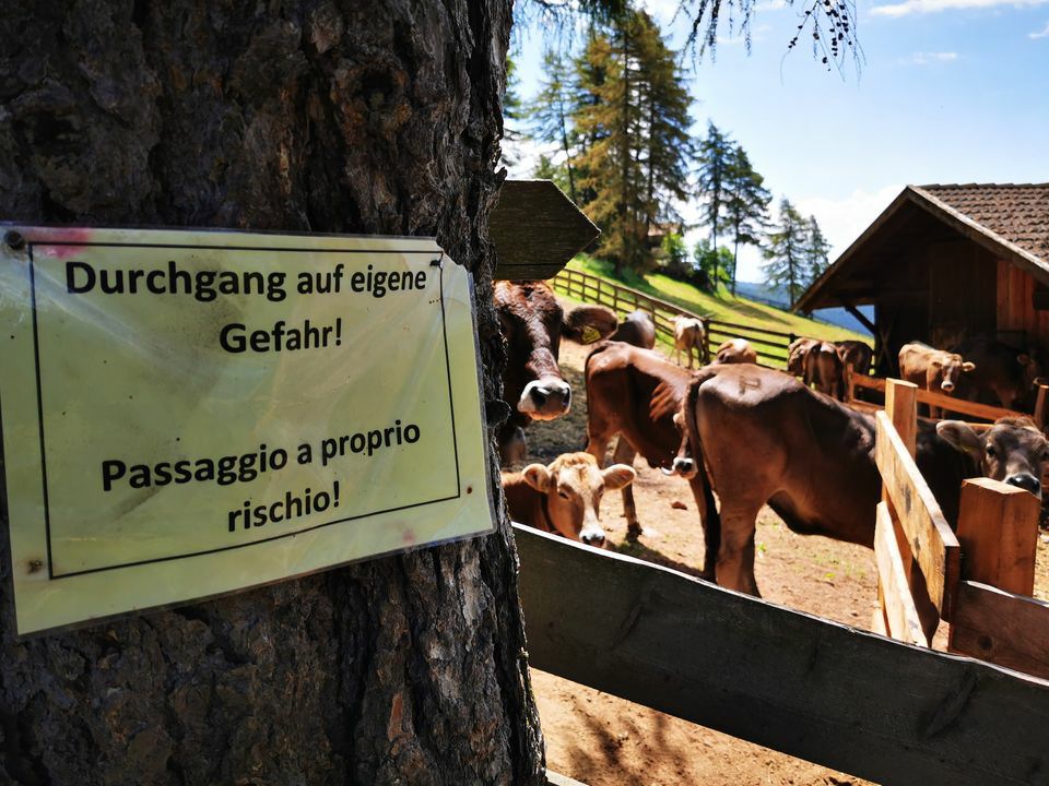 039-Suedtirol-2019-06.jpg