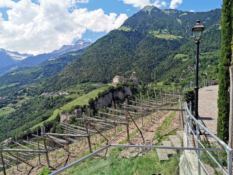 062-Suedtirol-2019-06.jpg