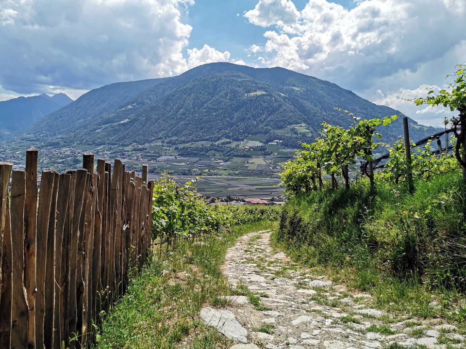 071-Suedtirol-2019-06.jpg